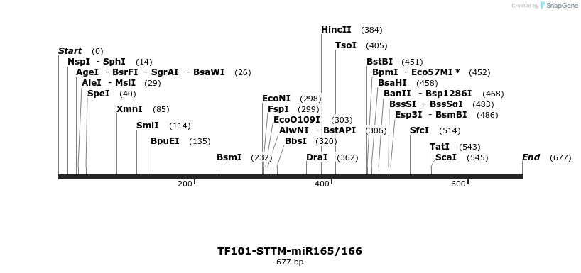 166714_map
