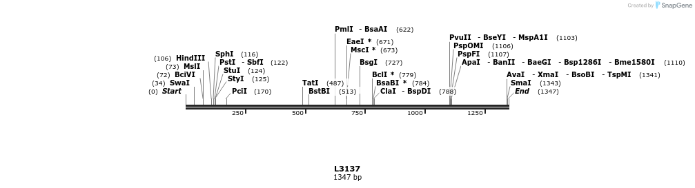 16673_map