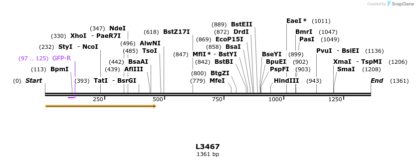 16675_map