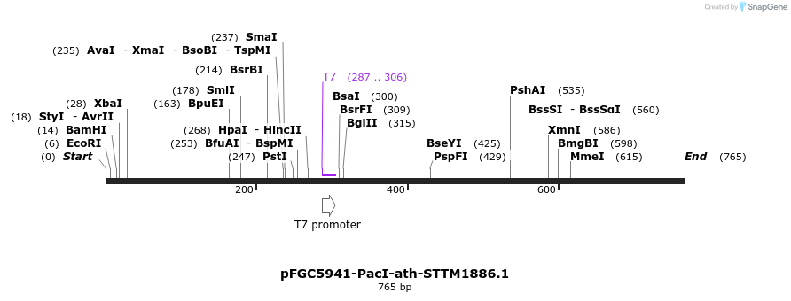 166759_map