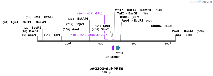166764_map