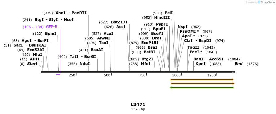 16677_map