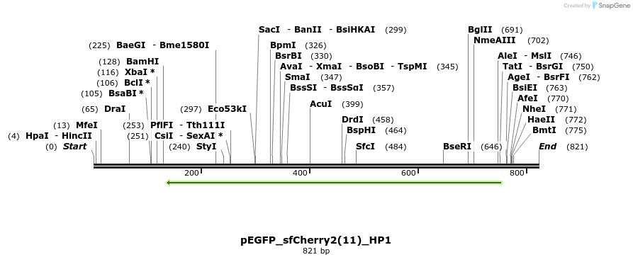 166799_map