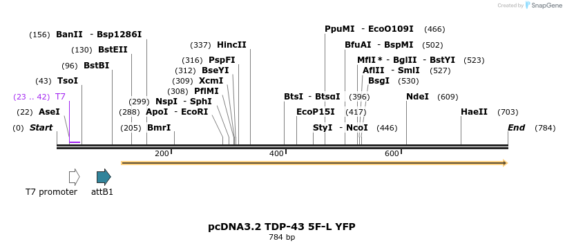 166808_map