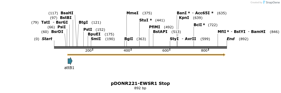 166810_map