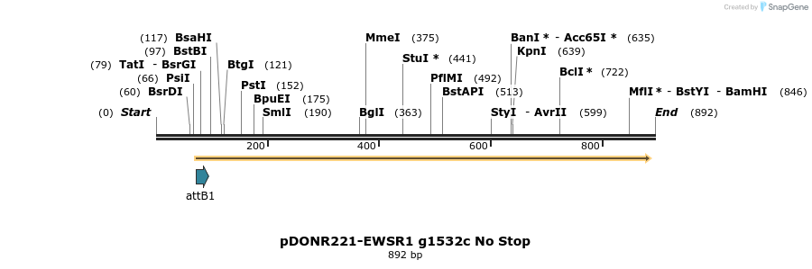 166821_map