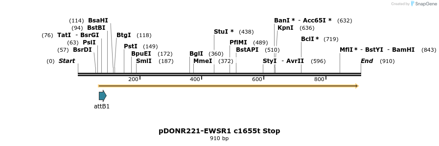 166827_map