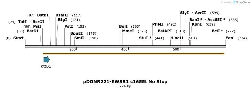 166829_map