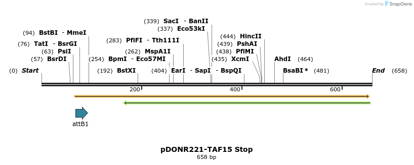 166838_map