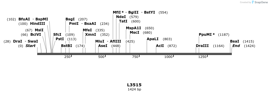 16684_map