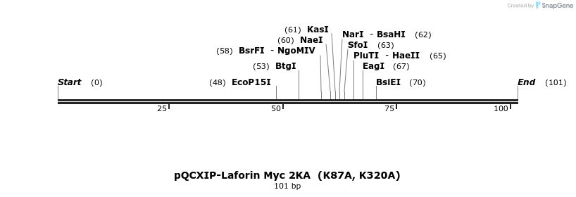 166848_map