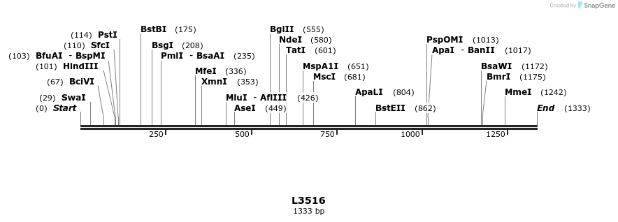 16685_map