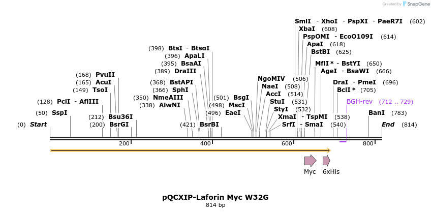 166857_map