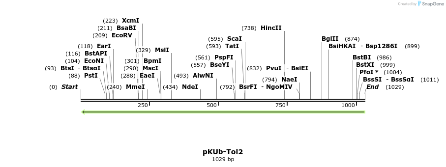 166885_map