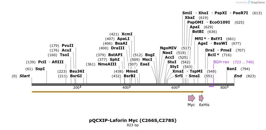 166891_map