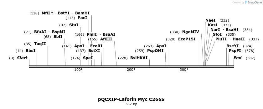 166894_map