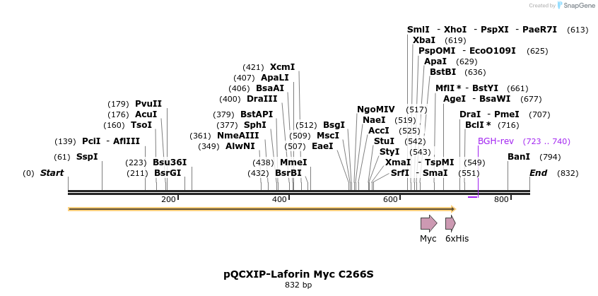 166895_map