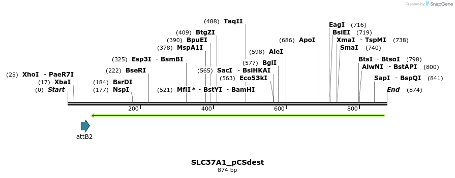 166908_map