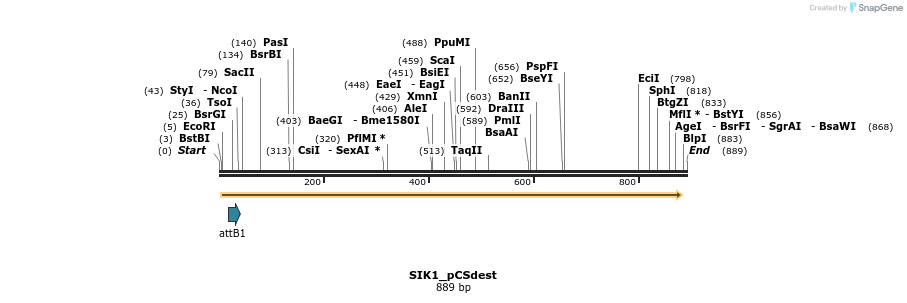 166911_map