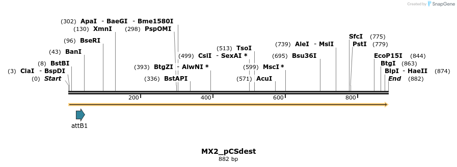 166914_map