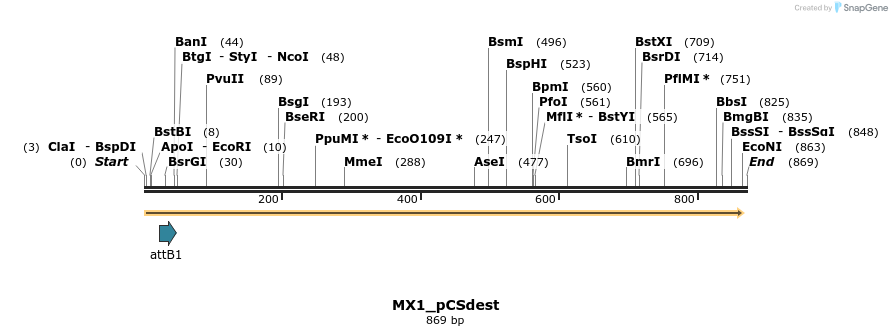 166919_map