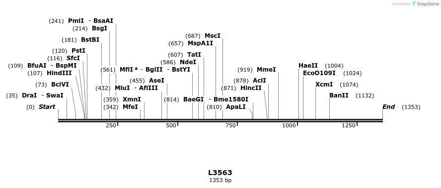 16692_map