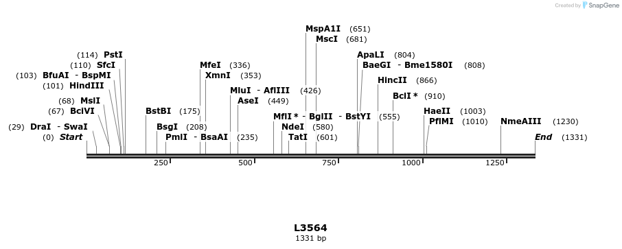 16693_map