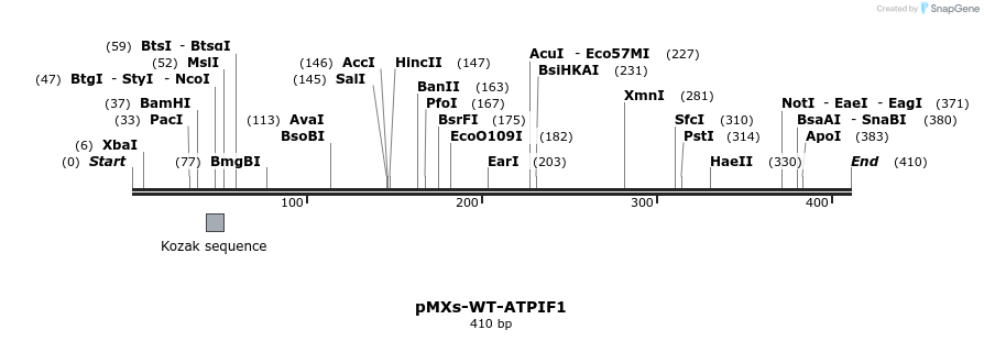 166939_map