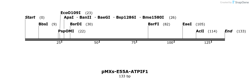 166949_map
