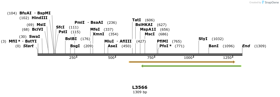 16695_map