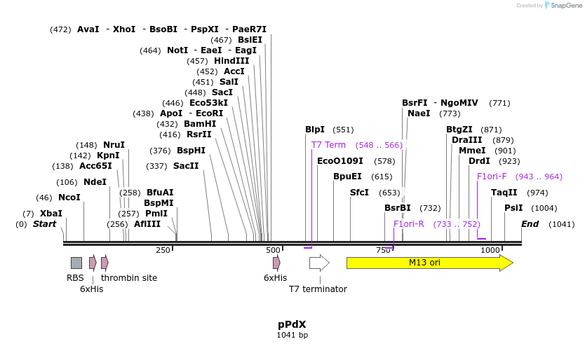 166994_map