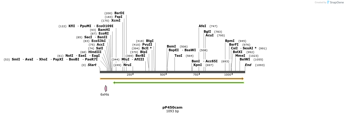 167002_map