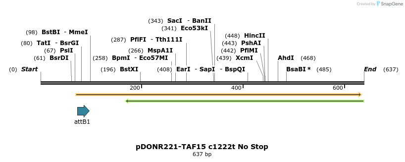 167003_map