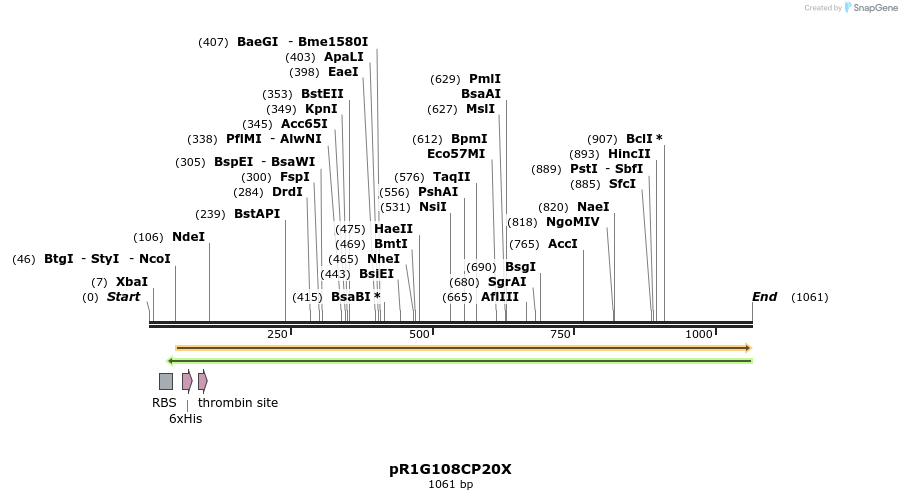 167004_map
