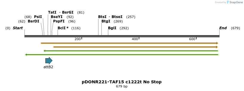 167008_map