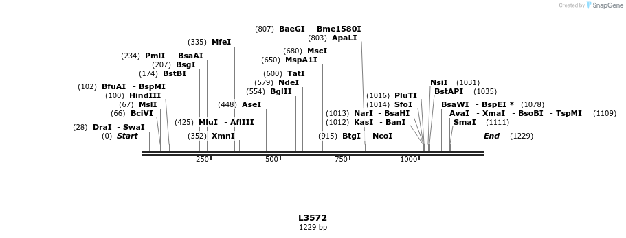16701_map