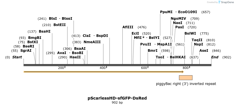 167010_map