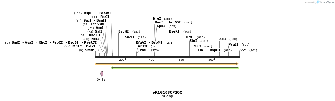167013_map