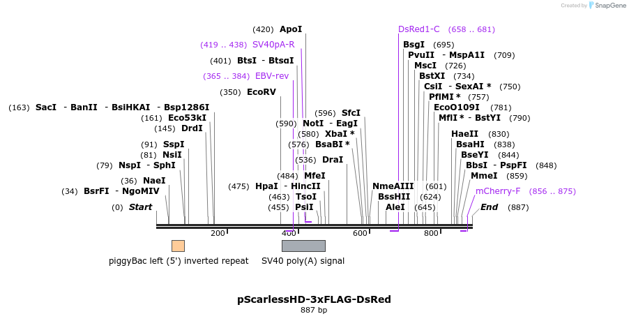 167019_map