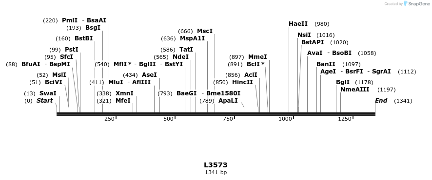 16702_map