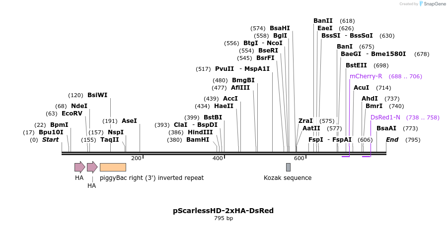 167020_map