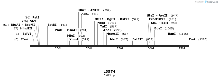16703_map