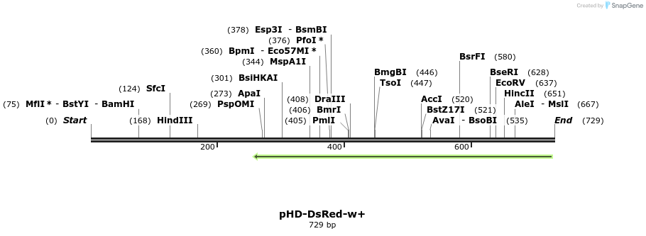 167030_map