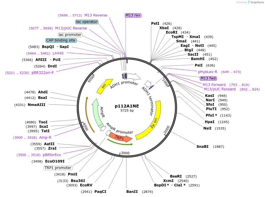 167032_map