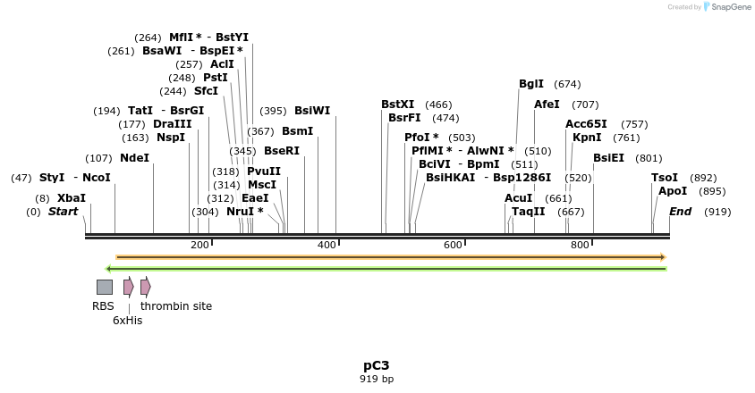 167039_map