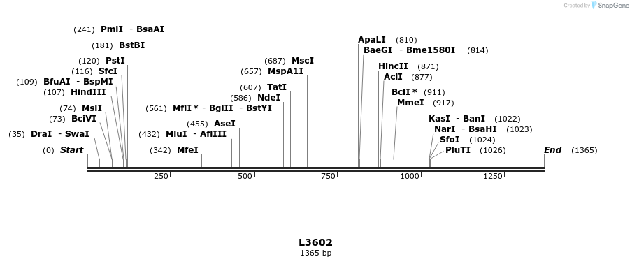 16704_map
