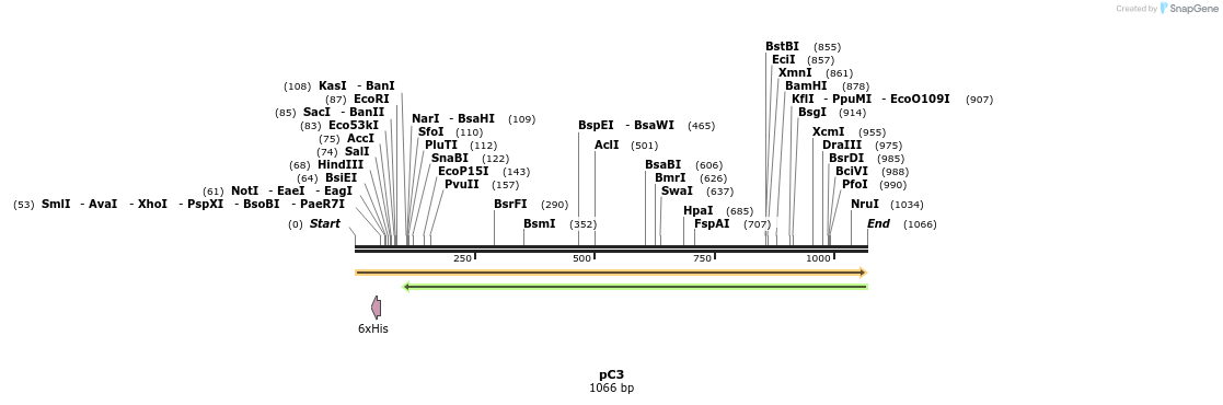 167040_map