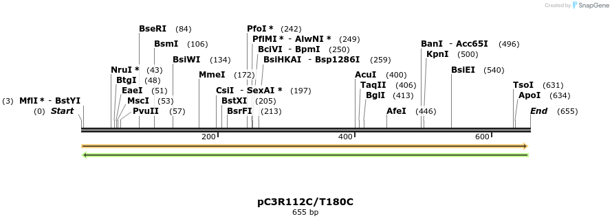 167045_map