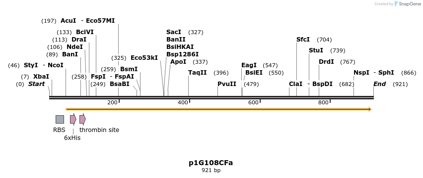 167048_map
