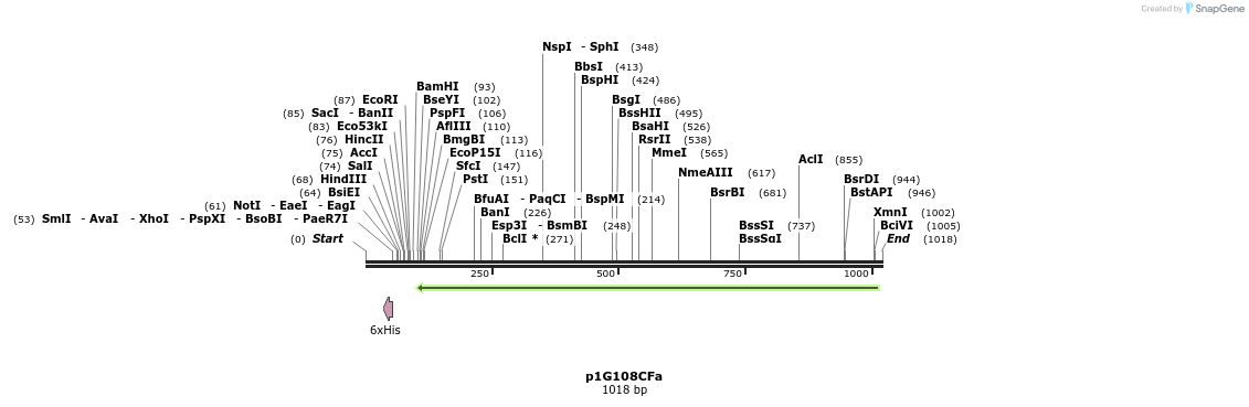 167049_map
